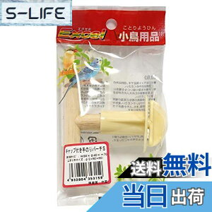 yzNPF GNZ Lbvt̂p[`S