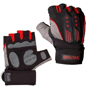 yzXp^bNX g[jOO[u ؃gO[u p[Obv ؃g Xgbv  2TCY M/L