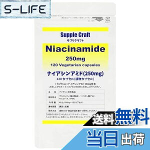 yzTvNtg iCAVA~h (r^~B3) 250mg × 120JvZ  Tv y܎tďCz