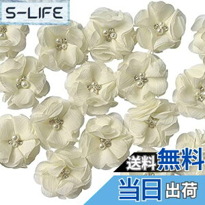 yz20  z  |pi hX obO ANZT[t[ ԉ a Ǝ l ܎O  5cmix[Wj