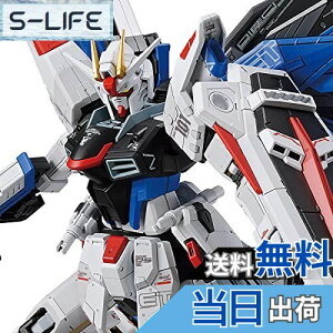 yzo_CXsbc tJjNX 1/100 yK_x[Xz ZGMF-X10A t[_K_ Ver.GCP