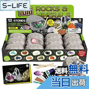 yzXXTOYS z @ Lbg  zΕW{ @ AWXg 12Zbg q nw nȊwLbg v[g Mtg