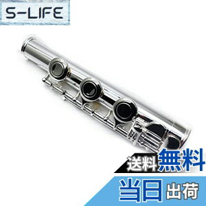 yzTUOREN 17keys B tbgt[gWCgt[gCiANZT[ RlN^a20mm Vo[bL