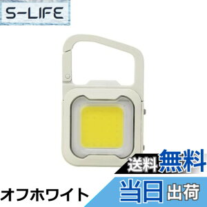�y���������z���T�V(MUSASHI) �[�d�� �҂��� MINI LIGHT �I�t�z���C�g �h�� �h���d�l ���̓��C�g ���邳3�i�K���� �t���b�V���_�� �J���r�i/�N���b�v/�}�O�l�b�g�ŊȒP��t Type-C WRC-20WH