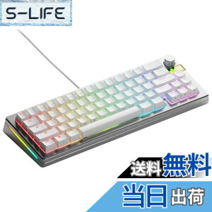�y���������zGlorious GMMK 3 PRO HE 65% Prebuilt Wired Silver US�z�� ���s�b�h�g���K�[�Ή� ���C�X�C�b�` �Q�[�~���O�L�[�{�[�h GLO-KB-GMMK3-PRO-65-PB-HE-W-SIL-US KB0836