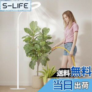 �y���������zbseah�����A���������A�S�X�y�N�g�������������A3��ނ̃��[�h��10���̒��� �F�F�z���C�g�A�T�C�Y�F��^-��