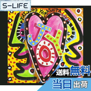 �y���������zJOY-TATSURO YAMASHITA LIVE