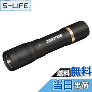 �y���������zGENTOS(�W�F���g�X) �����d�� LED���C�g �[�d�� 200~900���[���� ���N�V�[�h RX-285R/RX-286R/RX-304R/RX-386R/RX-486PB �F�F�u���b�N�A�T�C�Y�F���a30.1x135.7mm