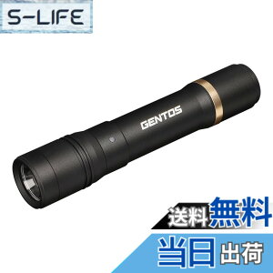 �y���������zGENTOS(�W�F���g�X) �����d�� LED���C�g �[�d�� 200~900���[���� ���N�V�[�h RX-285R/RX-286R/RX-304R/RX-386R/RX-486PB �F�F�u���b�N�A�T�C�Y�F���a30.1x150.4mm