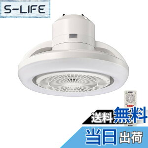 �y���������z�h�E�V�V�� �T�[�L�����C�g �F�F���F