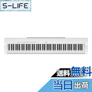 �y���������z���}�n �d�q�s�A�m P-225B�{�� �F�F�z���C�g