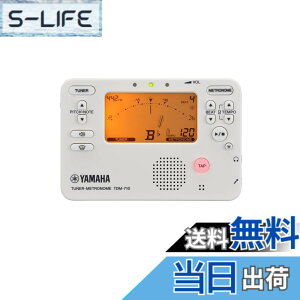 �y���������zYAMAHA TDM-710 �F�F�A�C�{���[