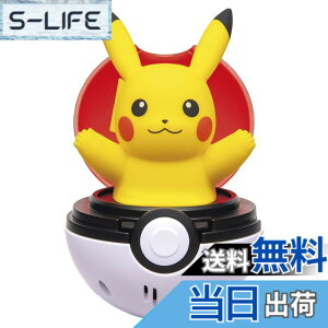 ���i�摜