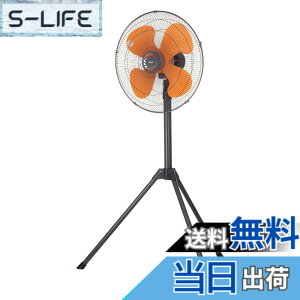 �y���������z�L�d(KODEN)�����H���H�Ɛ� �F�F�_�[�N�O���C�A�T�C�Y�F�O�r�^