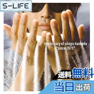 �y���������zThe History of Shogo Hamada Since 1975