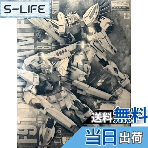 �y���������zMG 1/100 �K���_��F91 Ver.2.0 �o�b�N�L���m�������^���c�C���E���F�X�o�[�����^ �v�����f��(�z�r�[�I�����C���V���b�v����) �F�F�z���C�g�A�T�C�Y�F�~�j�`���A�X�P�[��