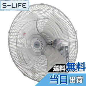 �y���������z�L�d(KODEN)�A���~�H���H�Ɛ� �F�F���C�g�O���C�A�T�C�Y�F�Ǌ|�^