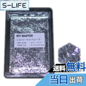 �y���������zDIY MASTER ���C���{�[ ���� �t���[�N 0.4mm 50g �F�F5.�V���o�[�����t���[�N�A�T�C�Y�F09.�y0.2x1.5mm�z25g