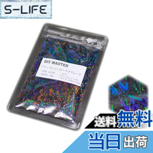 �y���������zDIY MASTER ���C���{�[ ���� �t���[�N 0.4mm 50g �F�F3.�u���b�N���C���{�[�����t���[�N�A�T�C�Y�F11.�y0.3x4.7mm�z25g