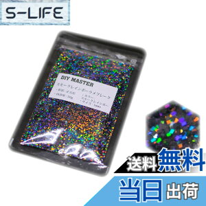 �y���������zDIY MASTER ���C���{�[ ���� �t���[�N 0.4mm 50g �F�F2.�X���[�N���C���{�[�����t���[�N�A�T�C�Y�F15.�y�X�N�E�F�A/1mm�z50g