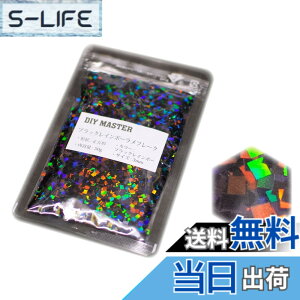 �y���������zDIY MASTER ���C���{�[ ���� �t���[�N 0.4mm 50g �F�F3.�u���b�N���C���{�[�����t���[�N�A�T�C�Y�F16.�y�X�N�E�F�A/3mm�z50g