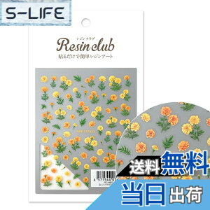�y���������z���W���N���u(RESIN CLUB) �y���W���N���u�z�}���[�S�[���h�y���ʁz RC-MRG-101 �F�F�}���`