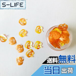 �y���������zJP-Halloween Shape-10gP �F�FPumpkin