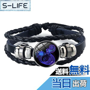 �y���������zWHITE FANG(�z���C�g�t�@���O) �u���X���b�g �A�N�Z�T���[ �W���G���[ ���U�[ ���� �y�A �o���O�� �����Y AZ014 �F�F10:���r���A�T�C�Y�F�T�C�Y