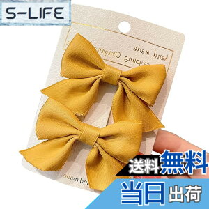 �y���������zGFun ������ ���{�� ������ 2�Z�b�g �N���b�v �w�A�A�N�Z�T���[ �o���b�^ �� ������ ������ ���\�� ���� �m�� �F�F�C�G���[