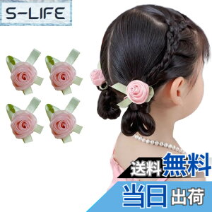 �y���������zGFun ������ �w�A�A�N�Z�T���[ �� �N���b�v 4�Z�b�g ���� �ԉΑ�� ������ �a�� ���l�� ���Ǝ� ������ ���\�� �m�� ���[�Y�Z�b�g