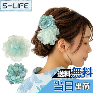 �y���������zGFun ������ �w�A�A�N�Z�T���[ �� �N���b�v 2�Z�b�g ���� �ԉΑ�� ������ �a�� ���l�� ���Ǝ� ������ ���\�� �m�� �c�o�L �F�F�u���[