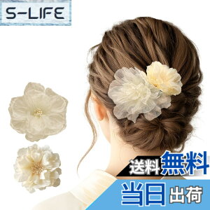 �y���������zGFun ������ �w�A�A�N�Z�T���[ �� �N���b�v 2�Z�b�g ���� �ԉΑ�� ������ �a�� ���l�� ���Ǝ� ������ ���\�� �m�� �c�o�L �F�F�x�[�W��