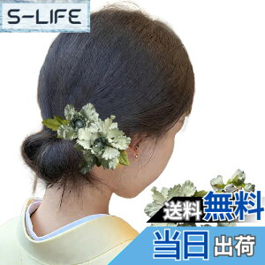 �y���������zGFun ������ �w�A�A�N�Z�T���[ �� �N���b�v 3�Z�b�g ���� �ԉΑ�� ������ �a�� ���l�� ���Ǝ� ������ ���\�� �m�� �F�F���C�g�O���[��