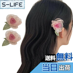 �y���������zGFun ������ �w�A�A�N�Z�T���[ �� �N���b�v 2�Z�b�g ���� �ԉΑ�� ������ �a�� ���l�� ���Ǝ� ������ ���\�� �m�� ���[�Y�Z�b�g