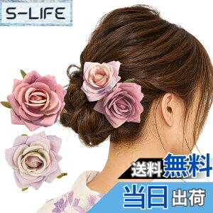 �y���������zGFun ������ �w�A�A�N�Z�T���[ �� �N���b�v 2�Z�b�g ���� �ԉΑ�� ������ �a�� ���l�� ���Ǝ� ������ ���\�� �m�� �F�F���[�Y�s���Nx���C�g�p�[�v��