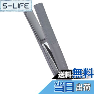 �y���������z�e�X�R�� �w�A�A�C���� �X�g���[�g�A�C���� �v���e�N�g�C�I�� 25mm �C�O�Ή� ���x����/���b�N/�������[�@�\ ����OFF �J���b�N NIS500A ���N�����v���O Nobby by TESCOM �F�F�X���[�L�[