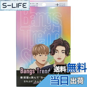 �y���������zBangs Trend Styler (�j���p�O���J�[���[) (1��)