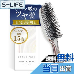 �y���������z�y���񂽂񓪔�P�A���c�����zGrand Peak �w�A�u���V ���[�|�[�`�t�� �X�J���v���t�g�u���V �����ї\�h ��� �}�b�T�[�W ���t�g�A�b�v �����C�p �����Y ���f�B�[�X �F�F�V���o�[