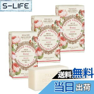 yzPanierdessens(pjGfTX) GbZVY xW^u\[v [Y×3 tX 앧 voX AR ΂ FFx[W