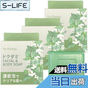 yz|bvx[ q[Gi\[v DD 100g Ō`Ό tFCV {fB hN_~ ؍RX TCYF100O (x 3)