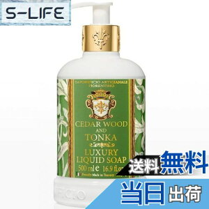 yzFIORENTINO tBIeB[m Lbh\[v bhoCY&Jg 500ml FFNA