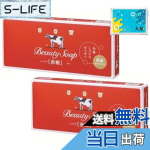 yzy2ZbgzJEuhΌ Ԕ 6 Ό + ܂tiIWiebVj