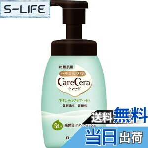 yzPAZ(CareCera) A̍ێ{fBEHbV {fB\[v {^jJt[̍ 450~bg (x 1) TCYF450~bg (x 1)