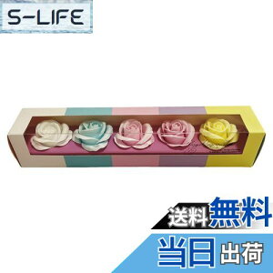 yzL[t(Q-FLA) Ό \[vt[ nh\[v Mtg Ԃ̃J^`̐΂  lߍ킹 FF~bNXATCYFW32×D6×H6cm