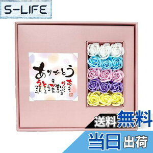 yzL[t(Q-FLA) Ό \[vt[ Ai nh\[v 15 Mtg 蕨 FF~bNXATCYFW28×D25×H3cm