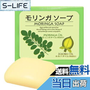 yzYONEKiCHi K\[v K΂ Sg  Y 80g TCYF80O (x 1)