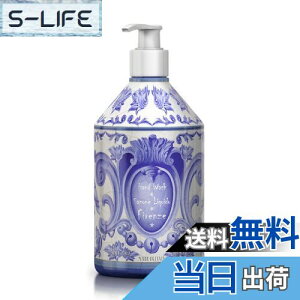 yzfB(Rudy) Le Maioliche E}J Maioliche Beauty }Jr[eB[ Hand Wash nhEHbV ROMA [} FFWX~ATCYF1×1