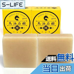 yzvXtH[vjO 葢 n Ό (݂͂) 90g ×2 Y n100%Ό45%z R[hvZX@  q YΌ { ݂͂ FFCG[A