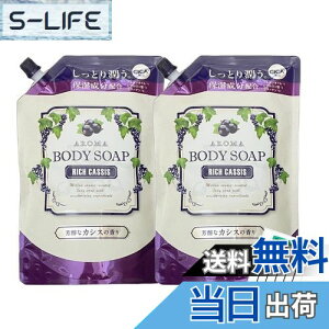 yz~cGC A} {fB\[v RICH CASSIS F JVX̍ CICAz lߑւ 600ml 2܃Zbg +Chabel