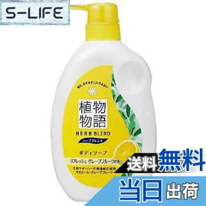 yzA n[uuh {fB\[v tbVO[vt[c̍ {̃|v 580ml